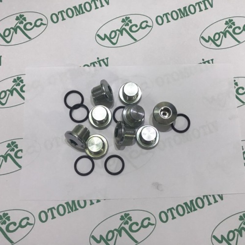 Silindir Kapak Tapası Oringli Takım (10 Adet) Albea 1.2 16V